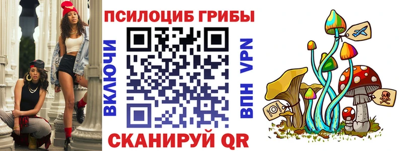 где можно купить наркотик  Енисейск  Псилоцибиновые грибы прущие грибы 